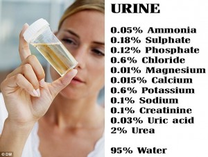 nutrient breakdown of urine